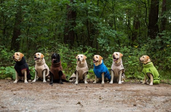 „Dryup Cape“ Trockencape - Hundebademantel